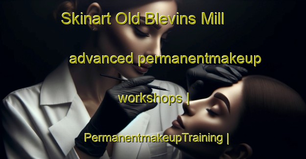 Skinart Old Blevins Mill advanced permanentmakeup workshops | PermanentmakeupTraining | PermanentmakeupClasses | SkinartTraining-United States